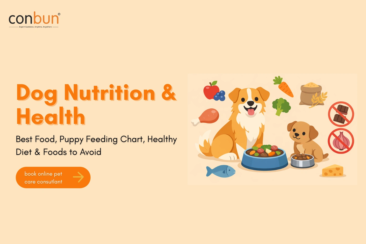 Dog Nutrition Guide: Best Food, Puppy Feeding Chart & Foods to Avoid